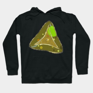 Diatom - Ditylum (color) Hoodie